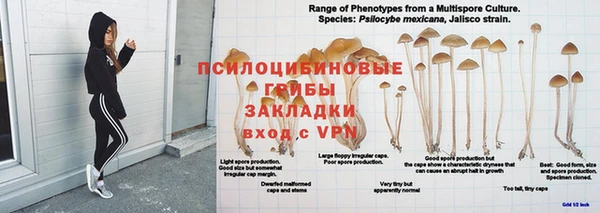 кокаин VHQ Нефтекумск
