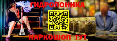 гашик Гай