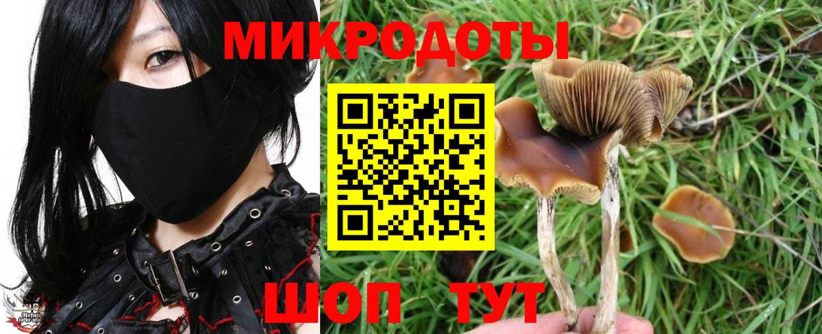 Галлюциногенные грибы мицелий Кумертау