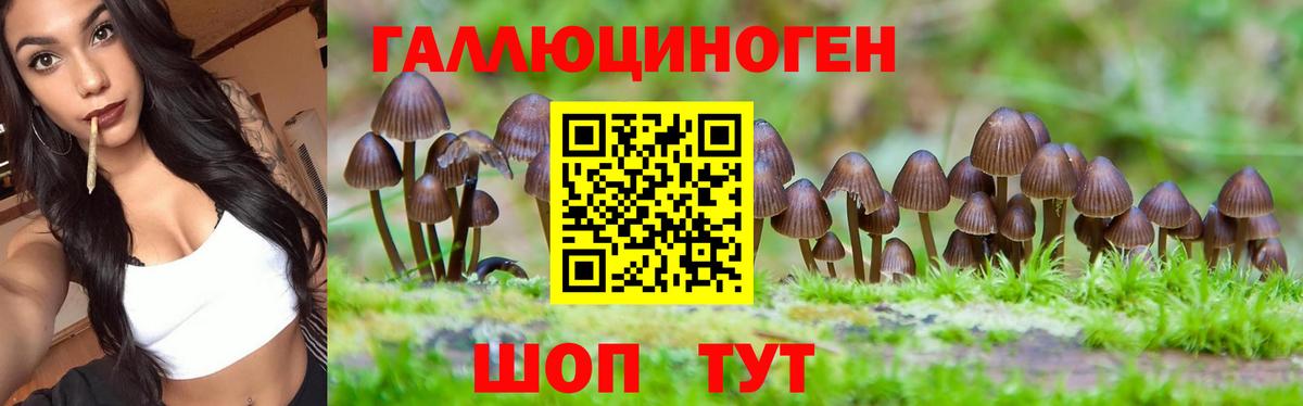 Галлюциногенные грибы Cubensis  Вход с VPN  Псилоцибиновые грибы Psilocybe  Кумертау 